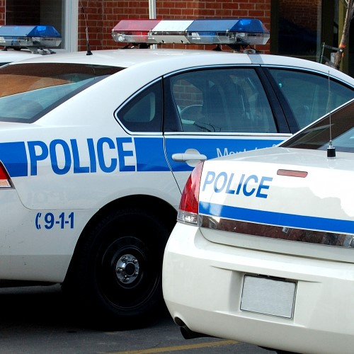 Row of police cars
