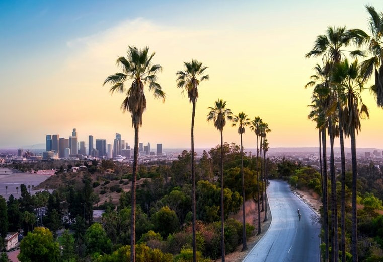 Los Angeles palm trees skyline